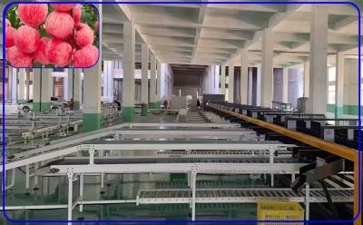 China Robot Computer Control Apple Sorting Equipment 2 Channel Intelligent Apple Sorter for sale