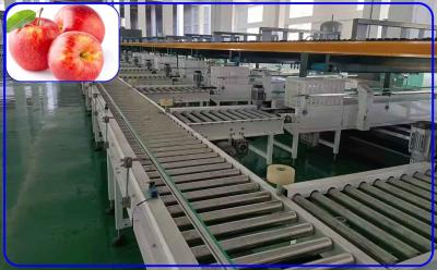 China Kanal-intelligente hohe Geschwindigkeit der Apple-Frucht-sortierenden Maschinen-4 für Größe und Schaden zu verkaufen