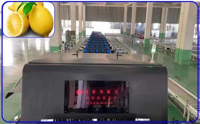 Κίνα Ευφυής ταξινομώντας μηχανή 2 λεμονιών βαθμολογώντας μηχανή λεμονιών καναλιών 380V 50Hz προς πώληση