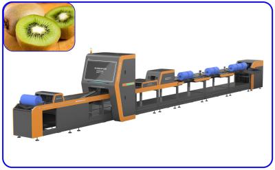 China Kiwi Intelligent Fruit Sorting Equipment 380V 1 Channel Computer Control for sale
