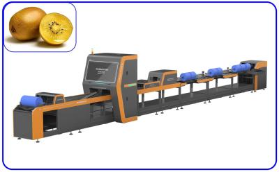 China 3 Channel 380V Fruit Sorting Machine Intelligent Kiwi Sorter 360° Rotation Scanning for sale