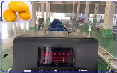 China Detect Sugar Mechanical Fruit Sorting Machine Intelligent 2 Channel Mango Sorter for sale