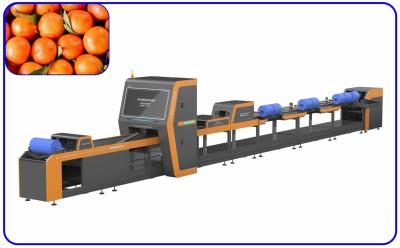 中国 便利なフルーツのオレンジ選別機機械理性的で大きい出力1つのチャネル 販売のため