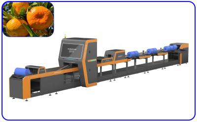 China Large Output Fruit Sorting Equipment 4 Channel Fast Speed CE Certified for sale
