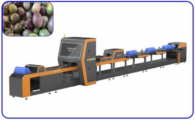 China Sophisticated Simple Passion Fruit Sorting Machine 7.55W 1 Channel Intelligent for sale