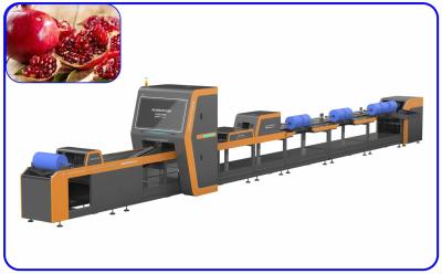China 1 Channel Mechanical Pomegranate Sorting Grading Machine Computer Control for sale
