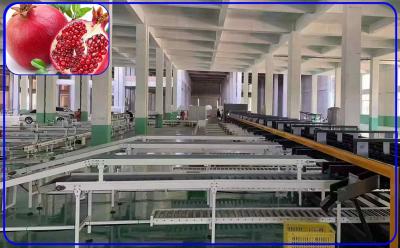 China High Speed Pomegranate Sorting Machine 2 Channel Intelligent For Size And Breakage for sale