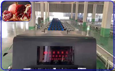 China Accurate Pomegranate Fruit Sorting Machine 3 Channel 380V 50Hz Intelligent for sale