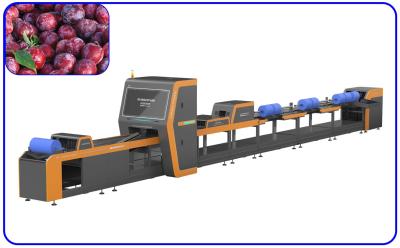 China High Speed Plum Automatic Sorting Machine 1 Channel Intelligent for sale