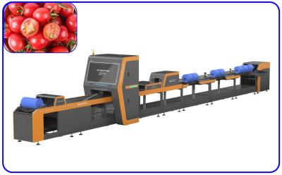 China Mechanical Automatic Sorting Machine Electric Drive 1 Channel Cherry Tomato Sorter for sale