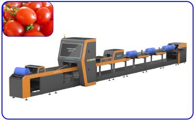 China Size Breakage Automatic Sorting Machine High Speed 2 Channel For Cherry Tomato for sale