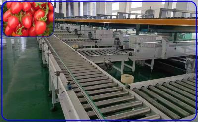 China Intelligent Tomato Sorting Equipment 3 Channel Automated Sorting Systems for sale