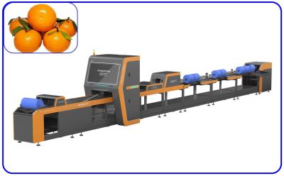 China Equipo conveniente de la clasificación automática de la fruta 1 canal para el mandarín de Orah en venta