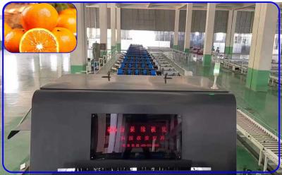 Κίνα Βαθμολογώντας μηχανή 4 φρούτων υψηλής ακρίβειας ευφυής εξοπλισμός κινεζικής γλώσσας Orah καναλιών προς πώληση
