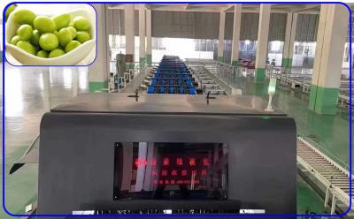 Κίνα 8 - 12 T/H αποδοτική βαθμολογώντας μηχανή 3 φρούτων κανάλι για την κινεζική ελιά προς πώληση