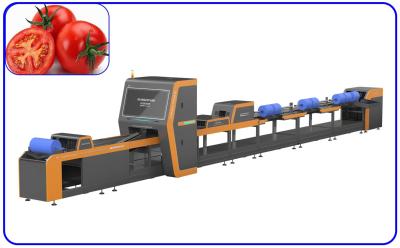 China High Yield Tomatoes Sorting Machine Intelligent 6 Channel Customized for sale