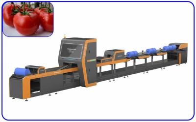 China Low Loss 4 Channel Tomato Machine Sorting Intelligent Optical Tomato Sorter for sale