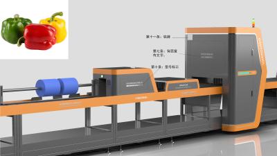 中国 ピーマンのための1つのチャネルの野菜分類機械ステンレス鋼のロボット タイプ 販売のため
