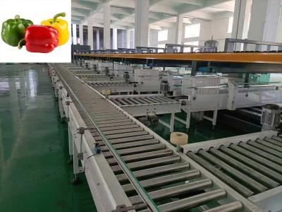 China 4 Channel Vegetable Sorting Machine Intelligent Bell Pepper Sorting Machine for sale