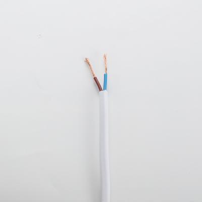 중국 CE PVC 구리 평평한 한쌍의 코어 케이블, 흰가루병 방지 평 전기 케이블 판매용