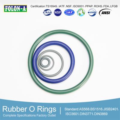 China Resistant to Oils and Solvents FKM O Rings for Fuel System Sealing in Automobile Engines for sale
