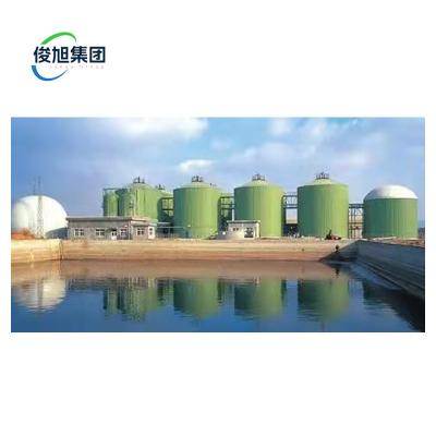 China 99% Purification Efficiency 5000 kg Biogas Desulfurization Tower for Purification for sale
