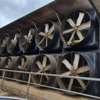 China PSMS Motor Livestock Ventilation Fans Dairy EC PMSM Wind Exhaust Fan for sale