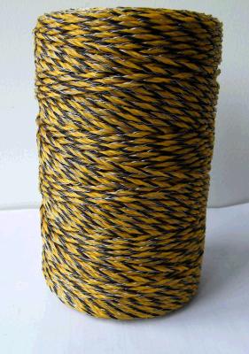 China W40mm Electric Poly Rope for sale