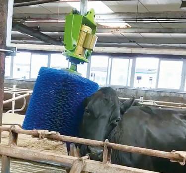 China ECB160BL Dia45mm Cow Brush Machine For Cleaning Fur for sale