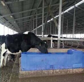 China Blue LLDPE Thermo Water Trough 115L 30Gal 225cm Length for sale