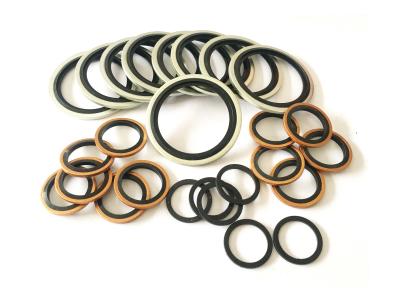 China ISO9001 Certified 100 Shore 30x42x6 Rubber Gasket Seal For Cars for sale