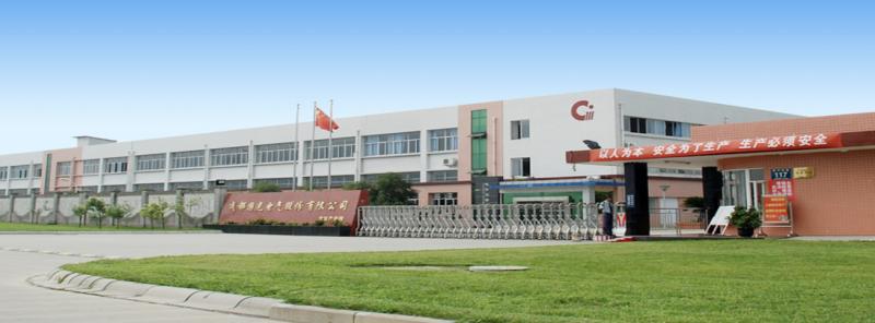 確認済みの中国サプライヤー - Chengdu Guoguang Elecric Co.,Ltd