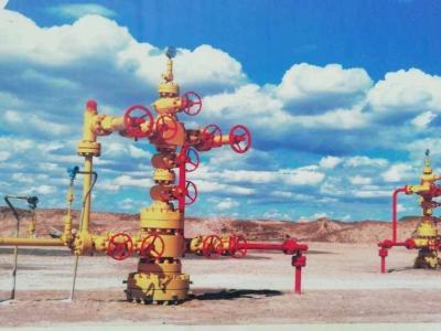 Chine Couleur faite sur commande de pétrole et de gaz d'arbre de Noël de tête de puits d'api 6A AA-HH à vendre