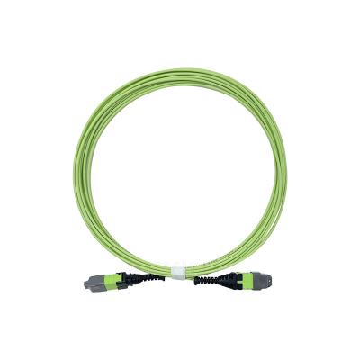 China KEXINT 12 Core OM5 Fiber Optic Patch Cord 2.0mm 5M Type B Multimode for sale