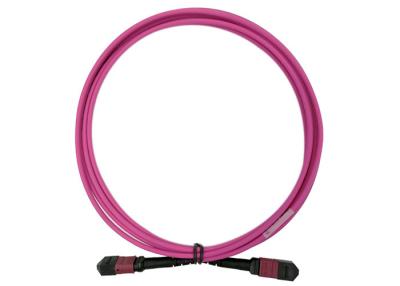 China 100G 24 MTP MPO Fiber Optic Cable Patch Cord 3M OM4 24 Core Magenta Type B USCONEC for sale