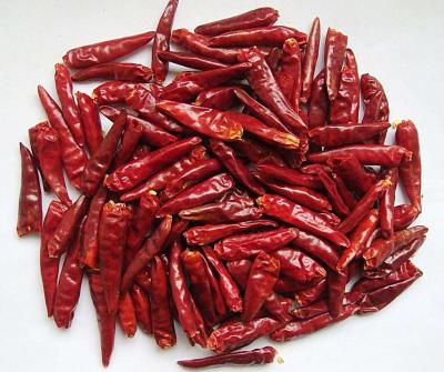 China Dried Chilli for sale