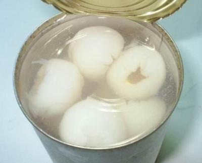 China Canned Litchi for sale