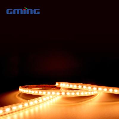 Chine Outdoor Low Voltage SMD 2835 LED Strip Waterproof IP67 Sleeve à vendre