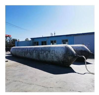 Китай Высокая плавучесть Судовое подъемное оборудование воздушные подушки Док-нивелир для контейнеров продается