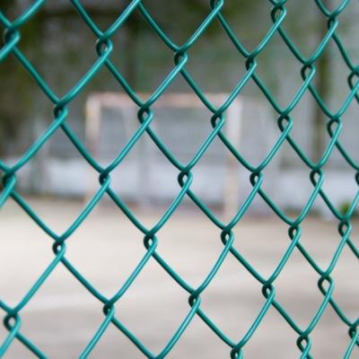 China Galvanized 1.8mm Pvc Chain Link Fence For Park for sale
