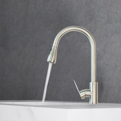 China Single Handle Stainless Steel Water Tap Taps Pull Out Sink Basin Mixer Filter Faucet à venda