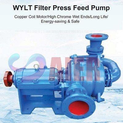 Chine Pompe centrifuge 40-304m3/h de boue de pompe d'alimentation de filtre-presse de WYLT à vendre