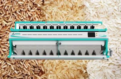 China 11T/H-19T/H Máquina de classificação de cores de arroz 12 escorregas Qualidade controlada à venda