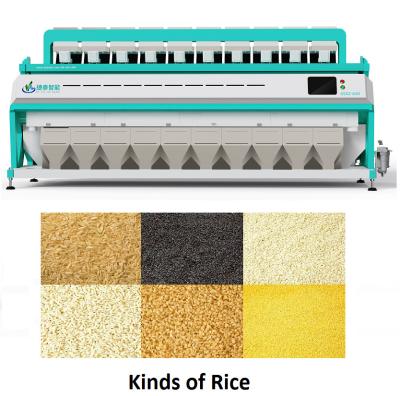 China CCD Intelligent Digital Rice Color Sorter Machine 10 Chutes Green Color for sale