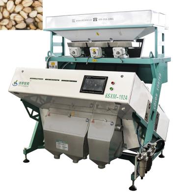 China High Precision IOT Seed Color Sorter Machine 2T/H-4T/H For Pecan Sorting for sale