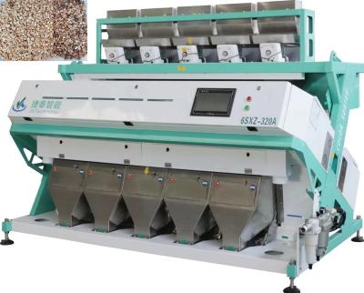 China CCD Defected Pecan / Peanut Sorting Machine 220V 50HZ 2455*1524*1790mm for sale