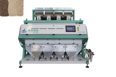 China Máquina de clasificación de colores de frijoles CCD de alta precisión para la clasificación de tamaños en venta