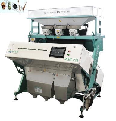 China Multi Core CCD 3 Chute Color Sorter  For Red Pepper Garlic for sale