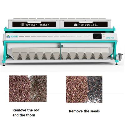 China Large Scale Intelligent Pepper Color Sorter Machine Manufacturer 11T/H - 19T/H for sale