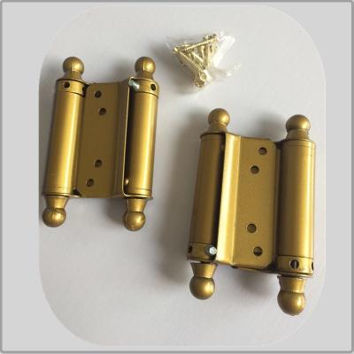 China Steel Iron Metal Material Spring Loaded Hinges Double Action Small Size for sale